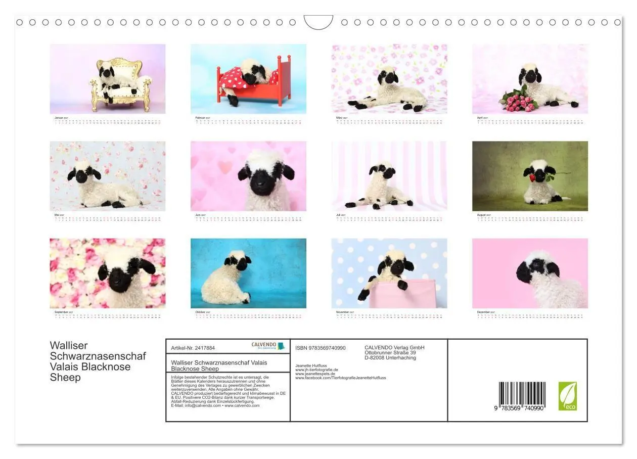Bild: 9783569740990 | Walliser Schwarznasenschaf Valais Blacknose Sheep (Wandkalender...