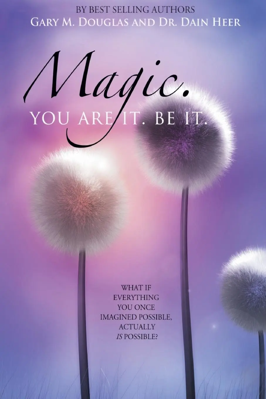 Cover: 9781939261090 | Magic. You Are It. Be It. | Heer (u. a.) | Taschenbuch | Englisch