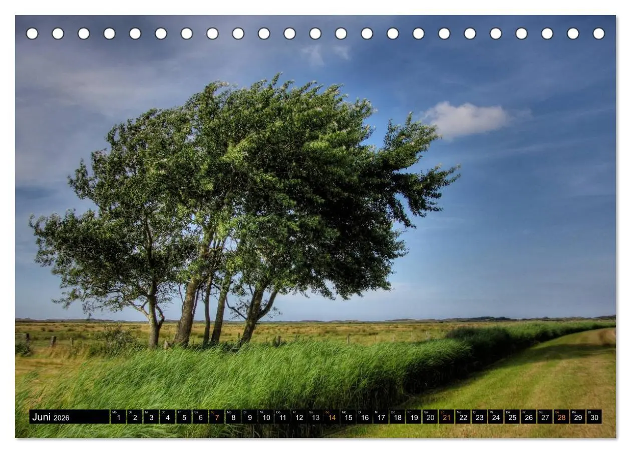 Bild: 9783516161090 | Borkum (Tischkalender 2026 DIN A5 quer), CALVENDO Monatskalender