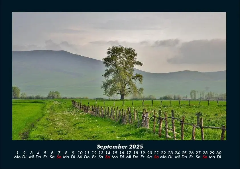 Bild: 9783755991090 | Bäume 2025 Fotokalender DIN A4 | Tobias Becker | Kalender | Deutsch