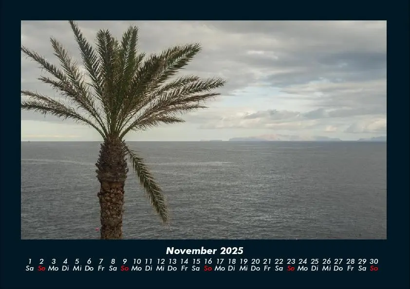Bild: 9783755991090 | Bäume 2025 Fotokalender DIN A4 | Tobias Becker | Kalender | Deutsch