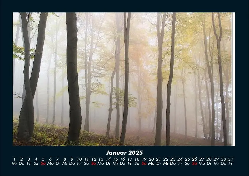 Bild: 9783755991090 | Bäume 2025 Fotokalender DIN A4 | Tobias Becker | Kalender | Deutsch