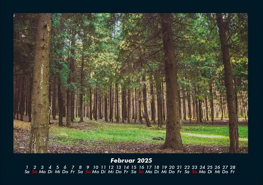 Bild: 9783755991090 | Bäume 2025 Fotokalender DIN A4 | Tobias Becker | Kalender | Deutsch