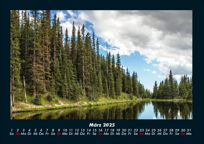 Bild: 9783755991090 | Bäume 2025 Fotokalender DIN A4 | Tobias Becker | Kalender | Deutsch