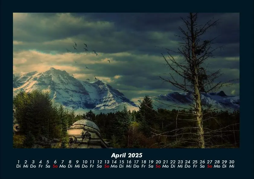 Bild: 9783755991090 | Bäume 2025 Fotokalender DIN A4 | Tobias Becker | Kalender | Deutsch