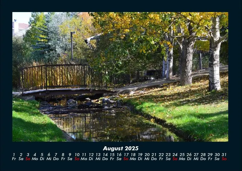 Bild: 9783755991090 | Bäume 2025 Fotokalender DIN A4 | Tobias Becker | Kalender | Deutsch