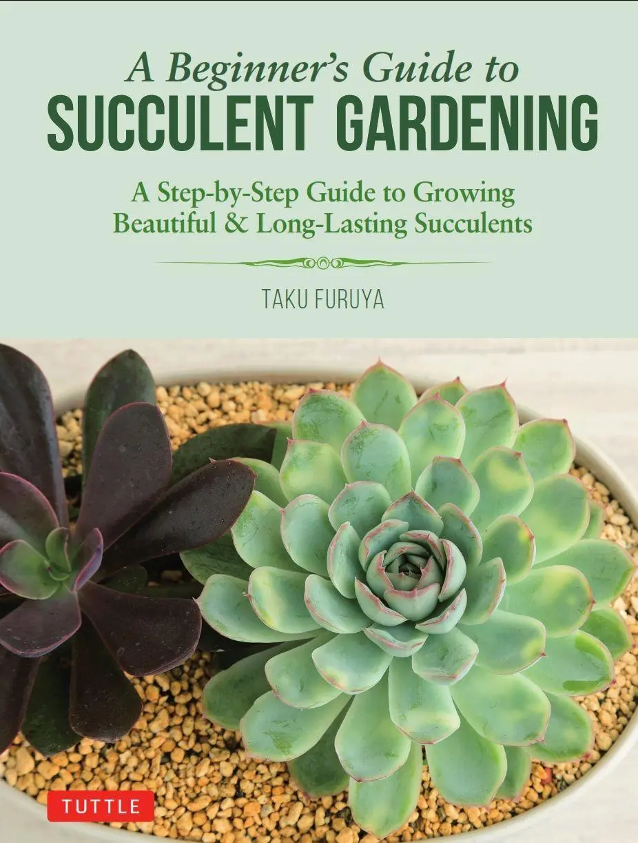 Cover: 9780804851190 | A Beginner's Guide to Succulent Gardening | Taku Furuya | Taschenbuch