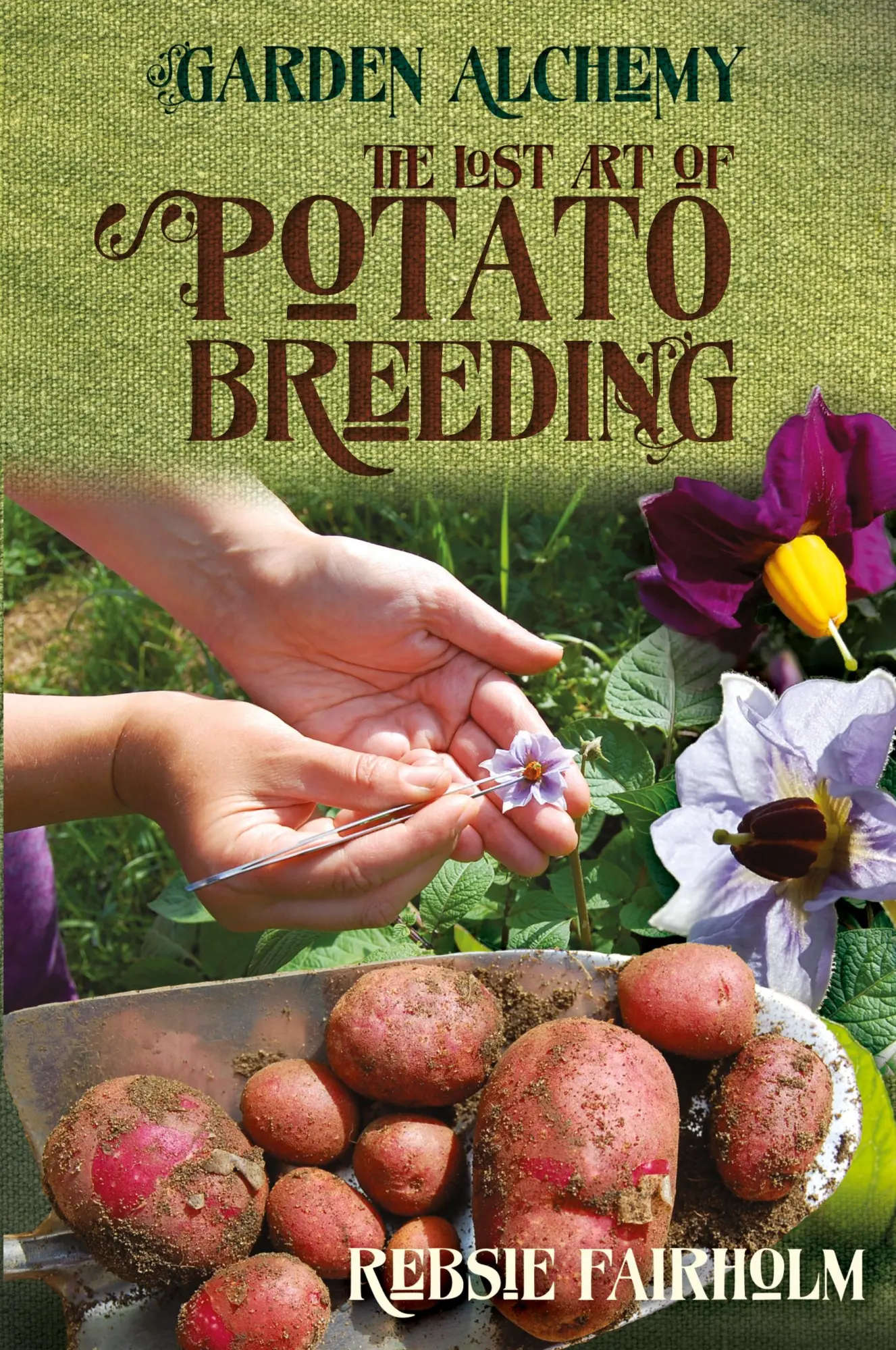 Cover: 9781908011190 | The Lost Art of Potato Breeding | Rebsie Fairholm | Taschenbuch | 2013