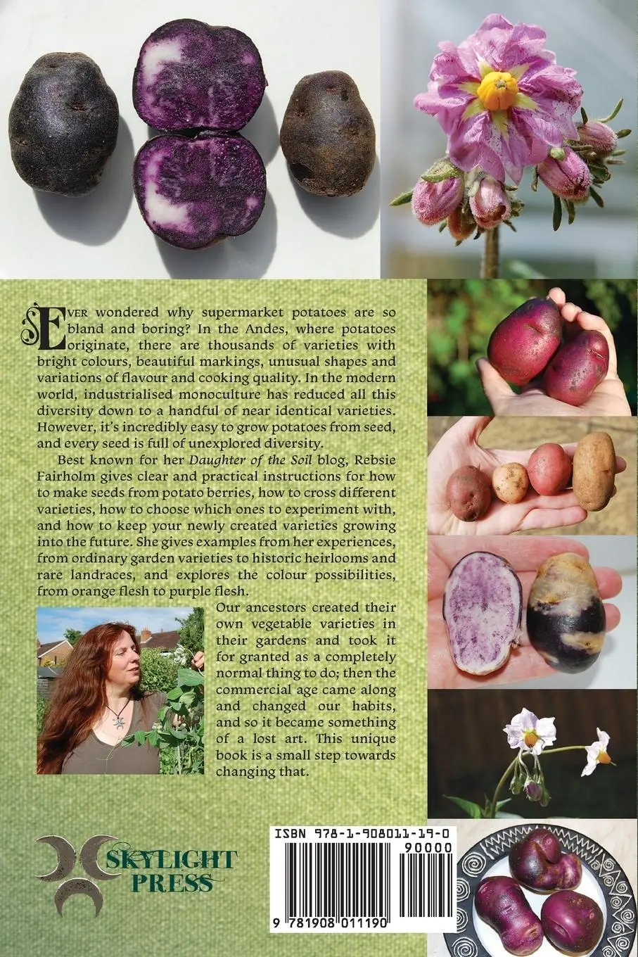 Rückseite: 9781908011190 | The Lost Art of Potato Breeding | Rebsie Fairholm | Taschenbuch | 2013
