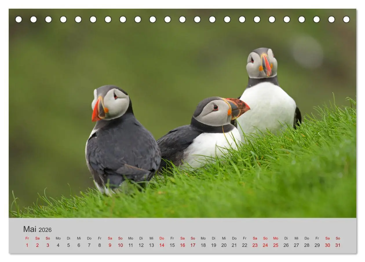 Bild: 9783457811290 | Färöer Inseln 2026 (Tischkalender 2026 DIN A5 quer), CALVENDO...