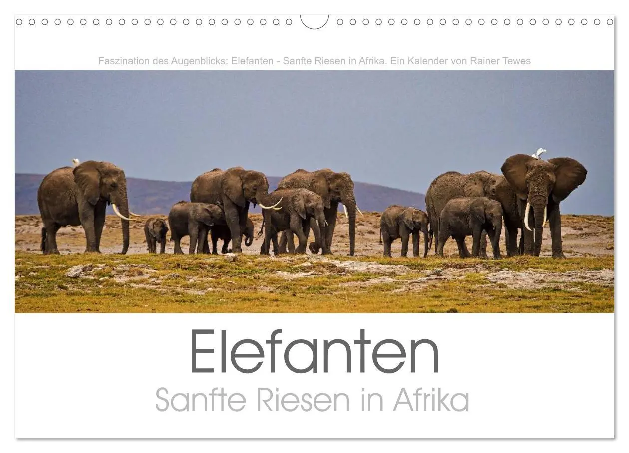 Cover: 9783457981290 | Elefanten - Sanfte Riesen in Afrika (Wandkalender 2026 DIN A3...