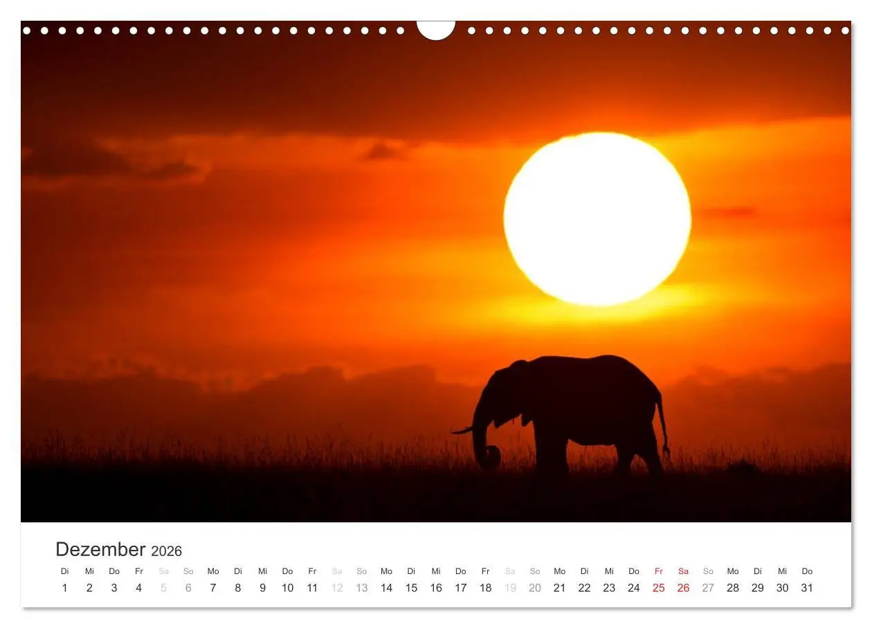 Bild: 9783457981290 | Elefanten - Sanfte Riesen in Afrika (Wandkalender 2026 DIN A3...