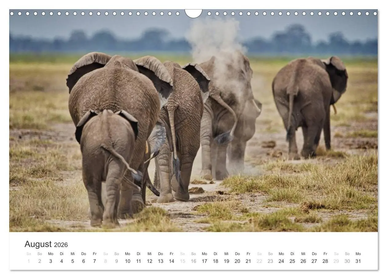 Bild: 9783457981290 | Elefanten - Sanfte Riesen in Afrika (Wandkalender 2026 DIN A3...