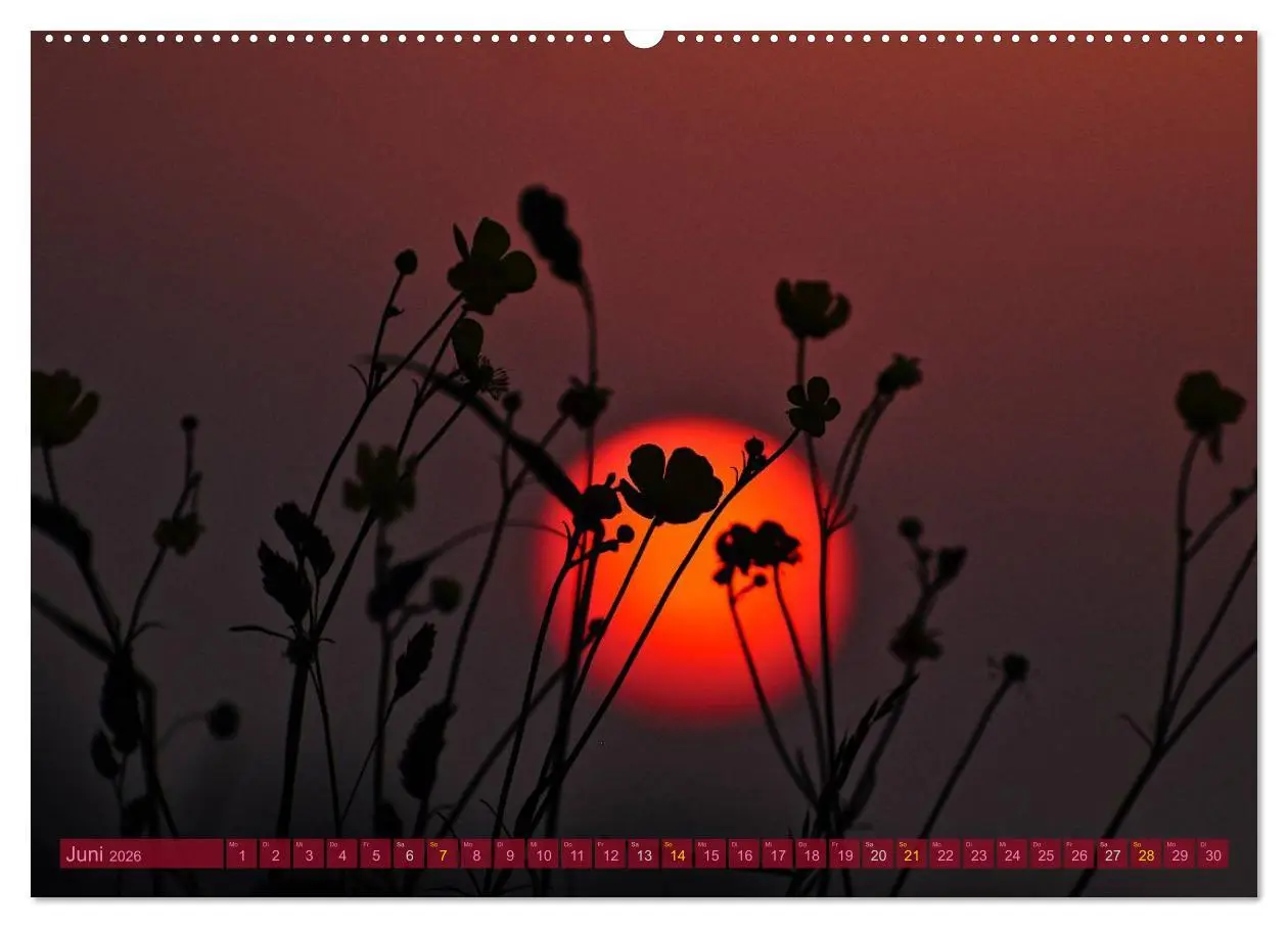 Bild: 9783516211290 | Die Sonne - 2026 (Wandkalender 2026 DIN A2 quer), CALVENDO...