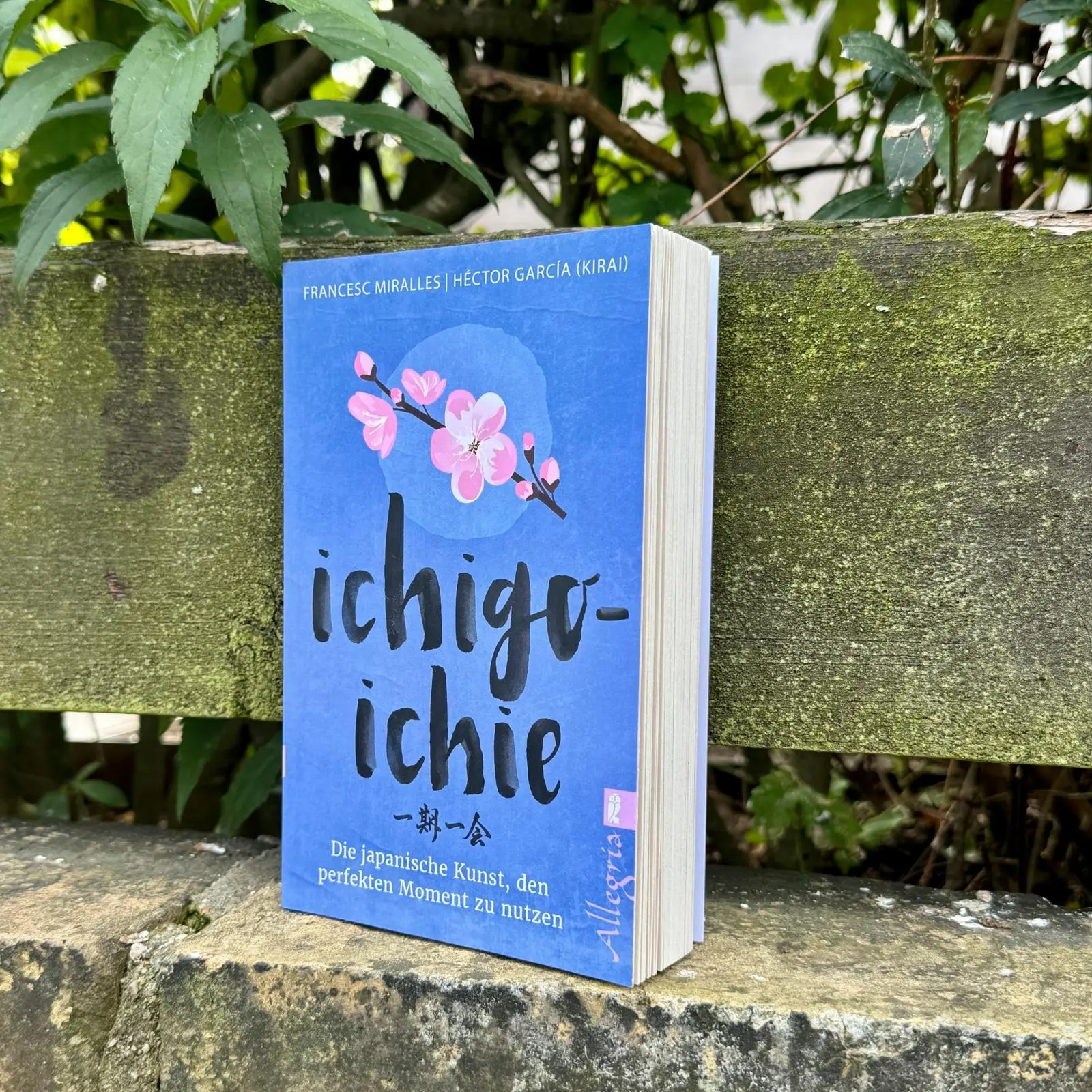 Bild: 9783548061290 | Ichigo-ichie | Die japanische Kunst, den perfekten Moment zu nutzen