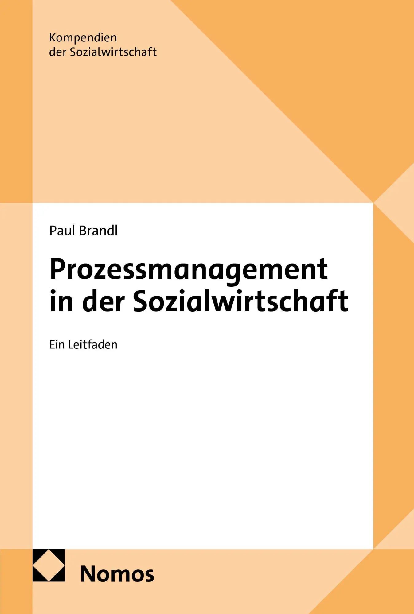 Cover: 9783756031290 | Prozessmanagement in der Sozialwirtschaft | Ein Leitfaden | Brandl