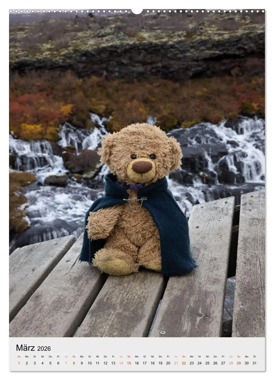 Bild: 9783516371390 | Travelling Teddy in Island (Wandkalender 2026 DIN A2 hoch),...