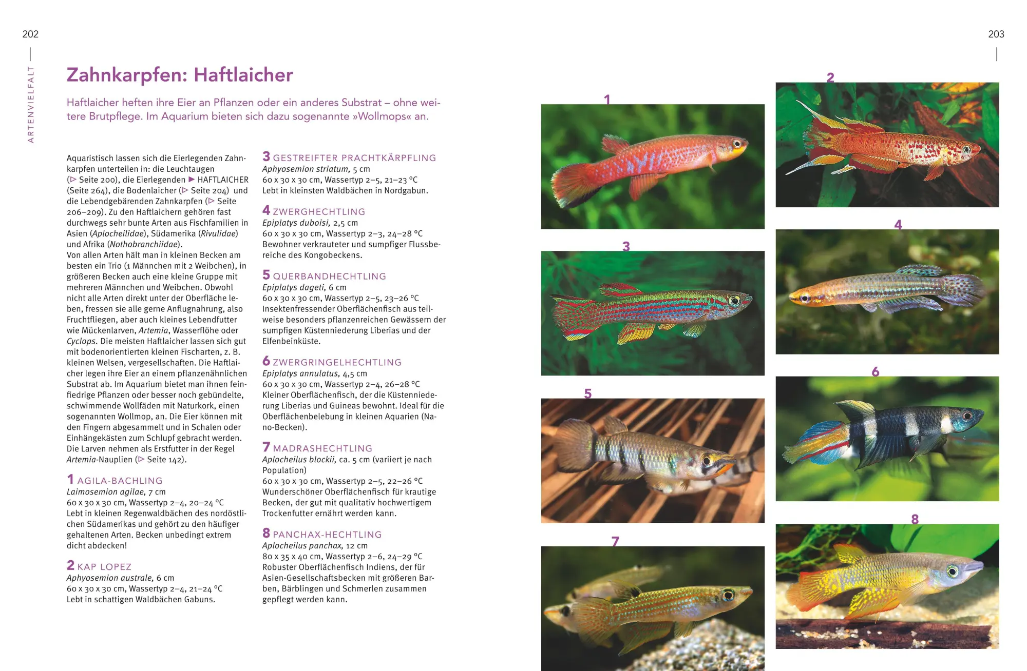 Bild: 9783833861390 | Praxishandbuch Aquarium | Ulrich Schliewen | Buch | 288 S. | Deutsch