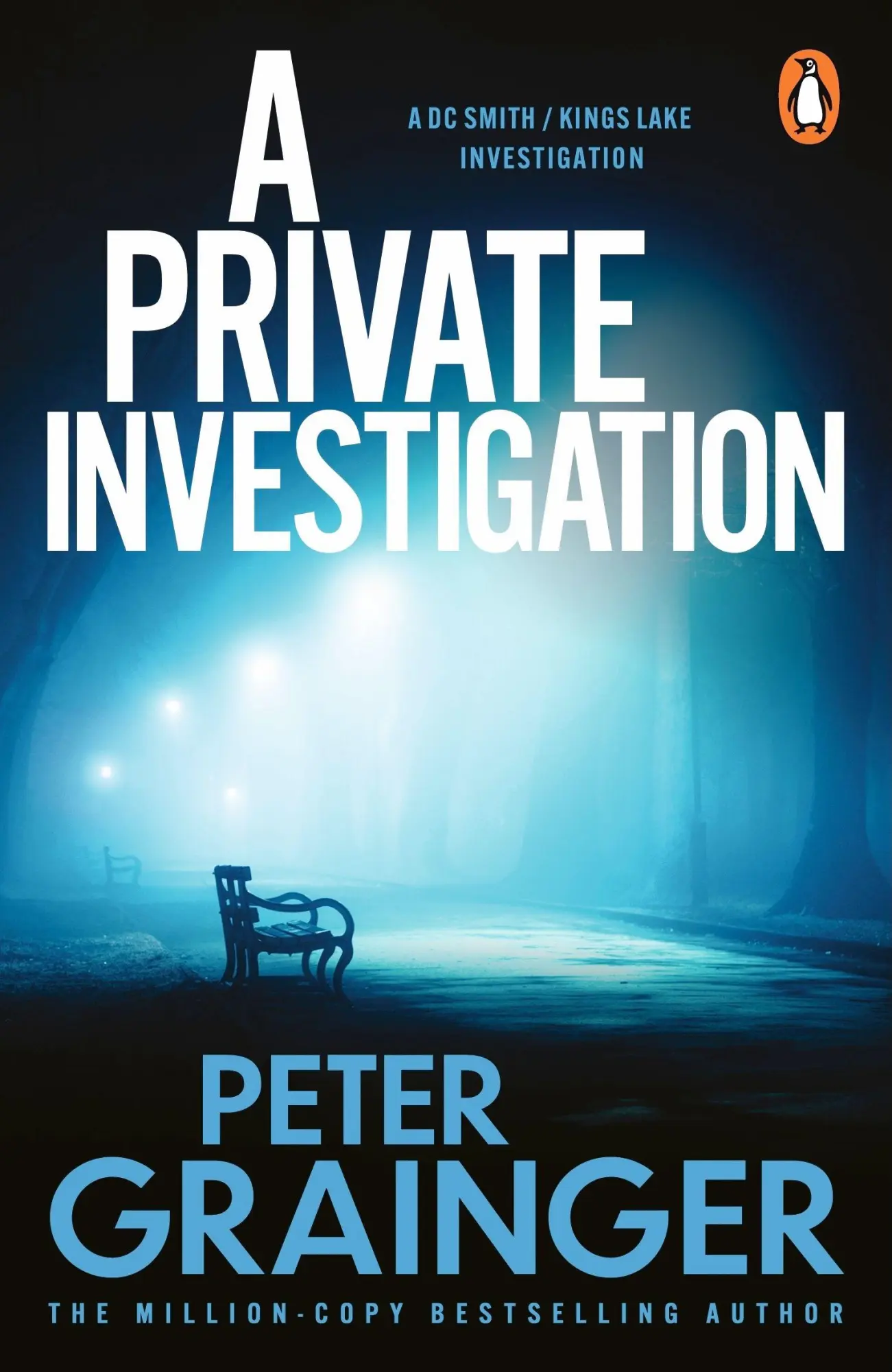 Cover: 9781804961490 | A Private Investigation | Peter Grainger | Taschenbuch | Englisch