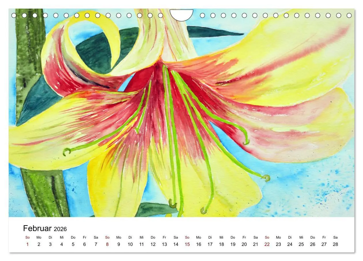 Bild: 9783457341490 | Blumen-Aquarelle (Wandkalender 2026 DIN A4 quer), CALVENDO...