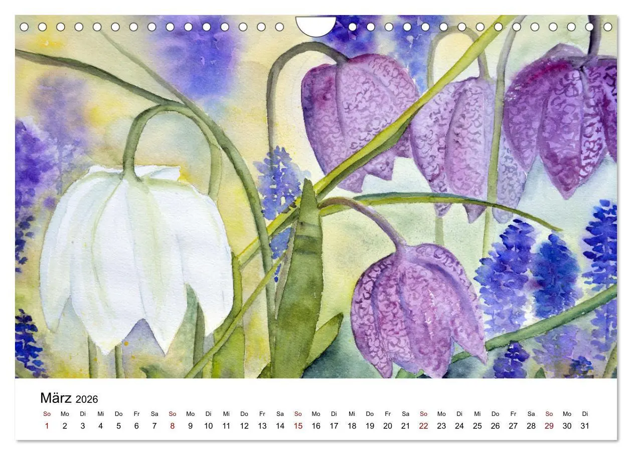 Bild: 9783457341490 | Blumen-Aquarelle (Wandkalender 2026 DIN A4 quer), CALVENDO...