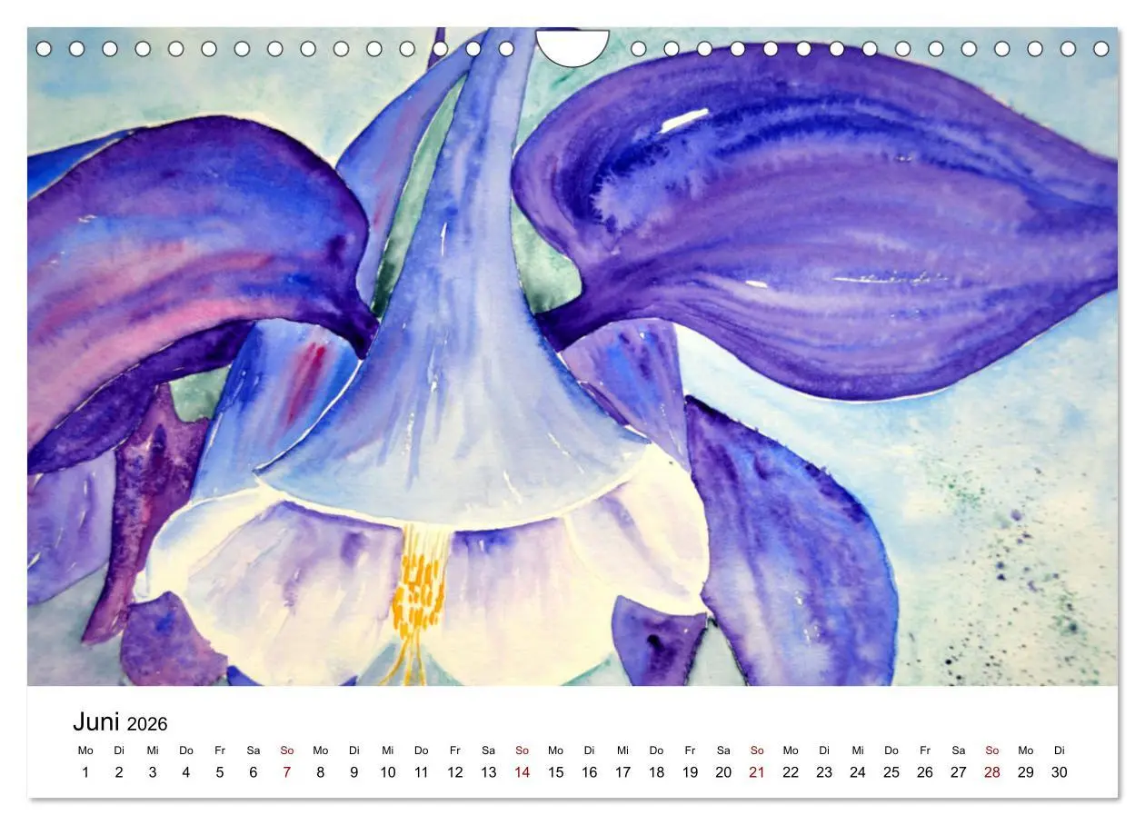 Bild: 9783457341490 | Blumen-Aquarelle (Wandkalender 2026 DIN A4 quer), CALVENDO...