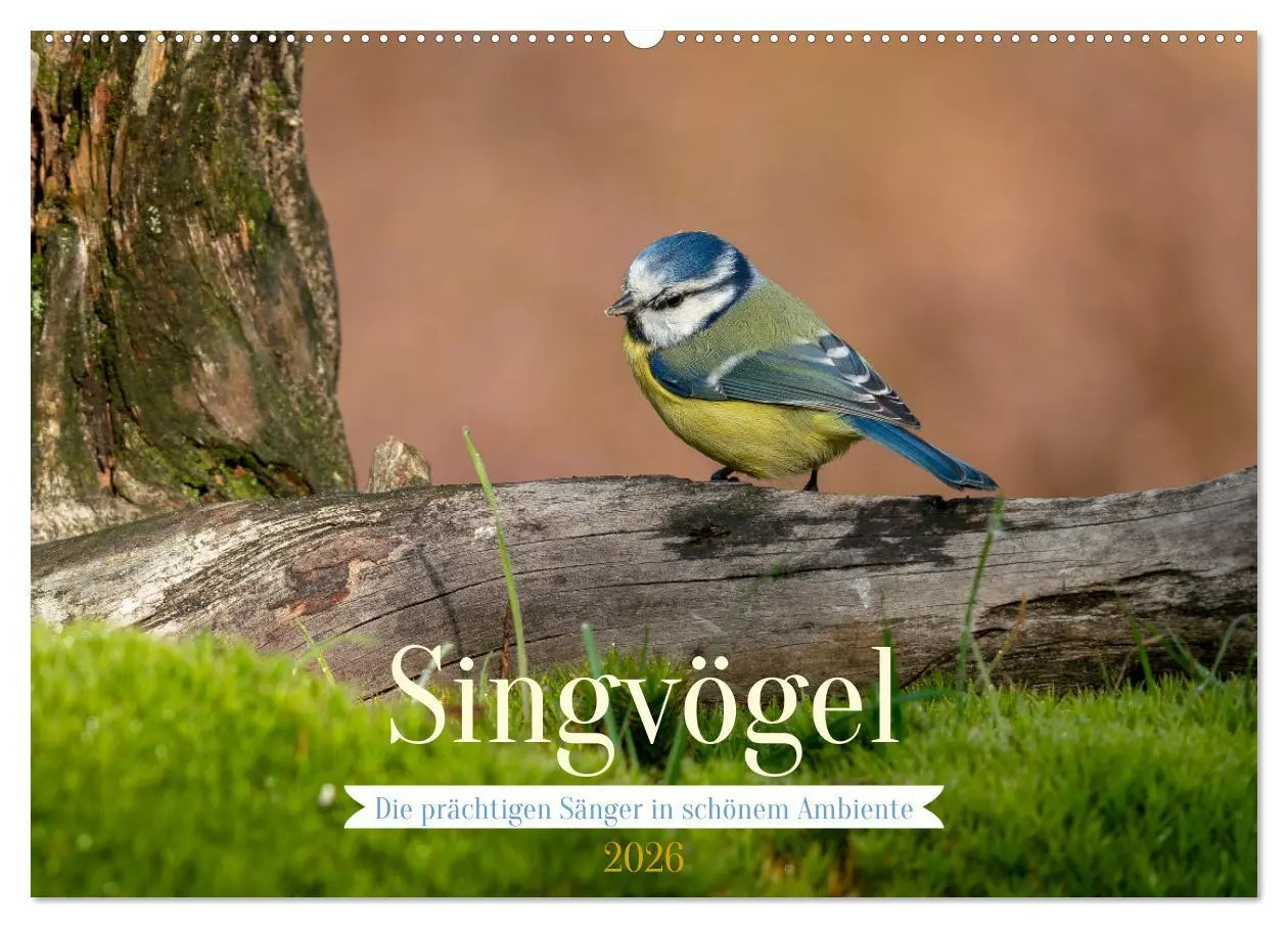Cover: 9783457581490 | SINGVÖGEL - Die prächtigen Sänger in schönem Ambiente (Wandkalender...