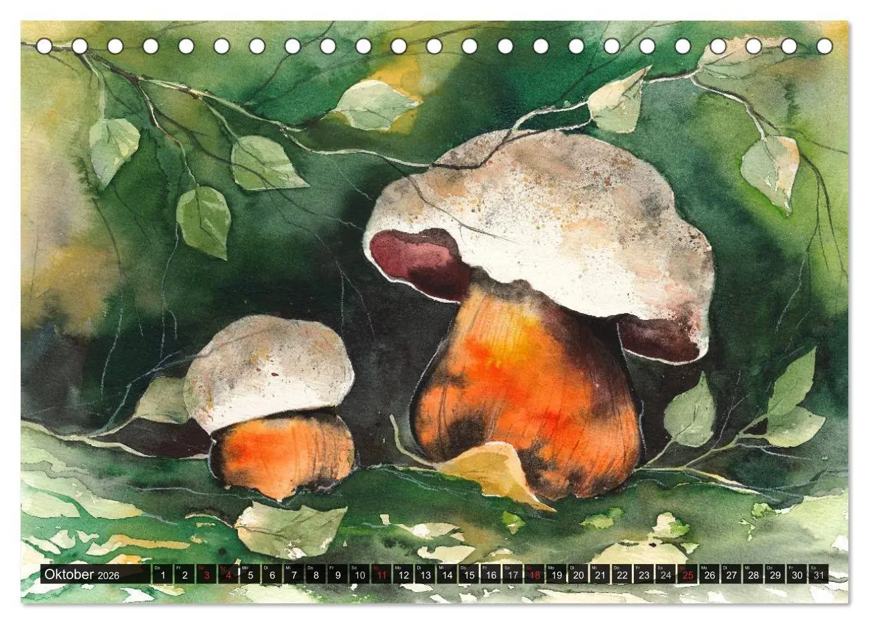 Bild: 9783516051490 | Pilze in Aquarell (Tischkalender 2026 DIN A5 quer), CALVENDO...