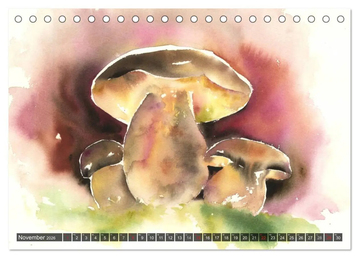 Bild: 9783516051490 | Pilze in Aquarell (Tischkalender 2026 DIN A5 quer), CALVENDO...