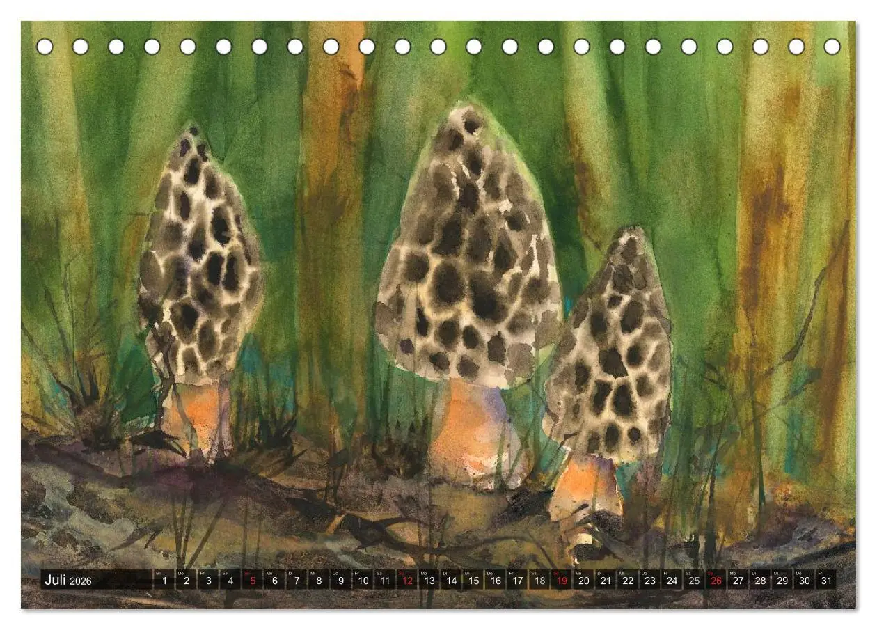 Bild: 9783516051490 | Pilze in Aquarell (Tischkalender 2026 DIN A5 quer), CALVENDO...