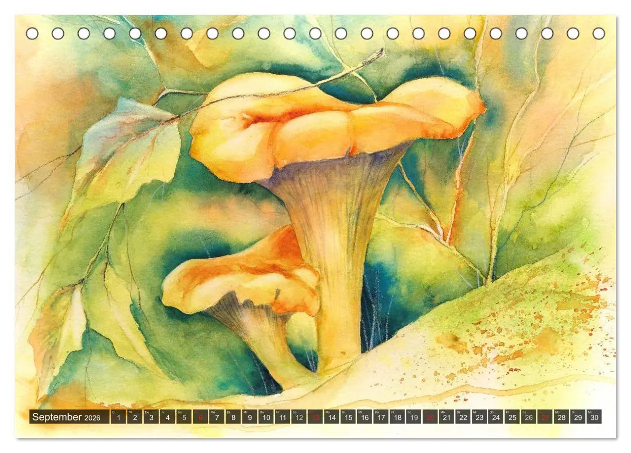 Bild: 9783516051490 | Pilze in Aquarell (Tischkalender 2026 DIN A5 quer), CALVENDO...