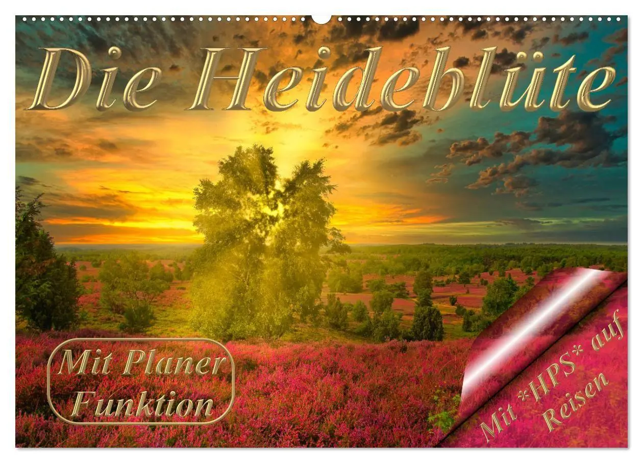 Cover: 9783569521490 | Die Heideblüte (Wandkalender 2027 DIN A2 quer), CALVENDO...