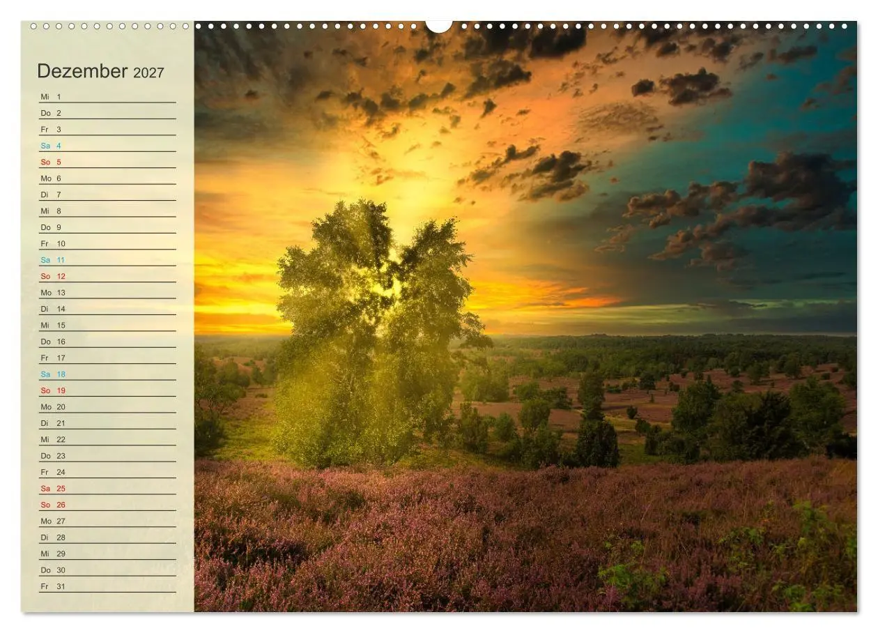 Bild: 9783569521490 | Die Heideblüte (Wandkalender 2027 DIN A2 quer), CALVENDO...