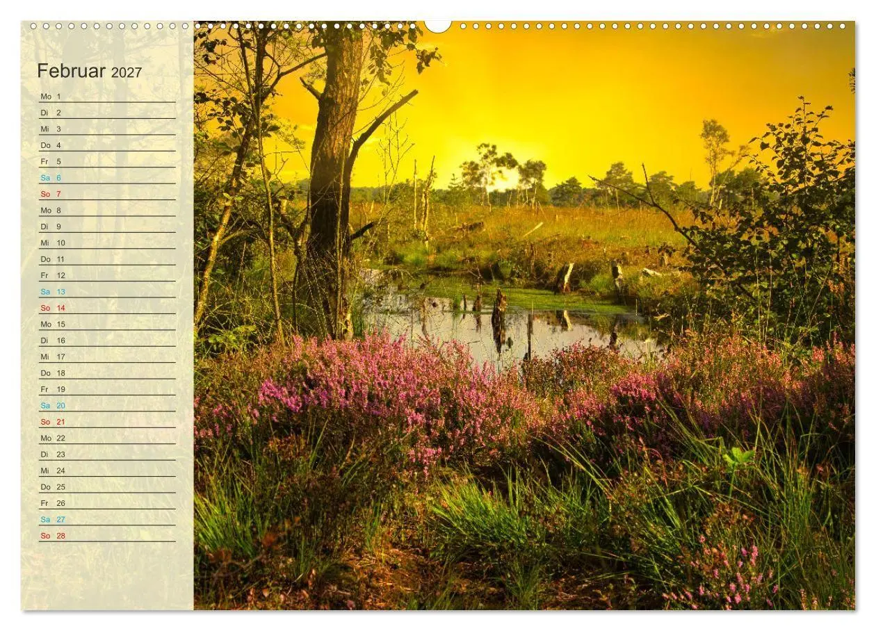 Bild: 9783569521490 | Die Heideblüte (Wandkalender 2027 DIN A2 quer), CALVENDO...