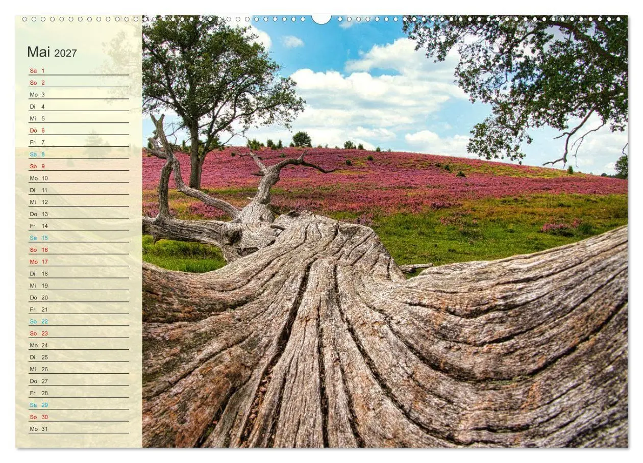 Bild: 9783569521490 | Die Heideblüte (Wandkalender 2027 DIN A2 quer), CALVENDO...