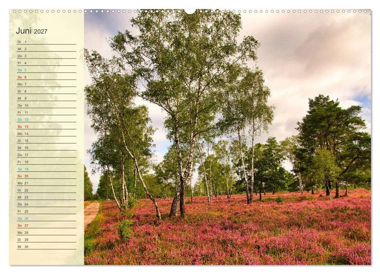 Bild: 9783569521490 | Die Heideblüte (Wandkalender 2027 DIN A2 quer), CALVENDO...