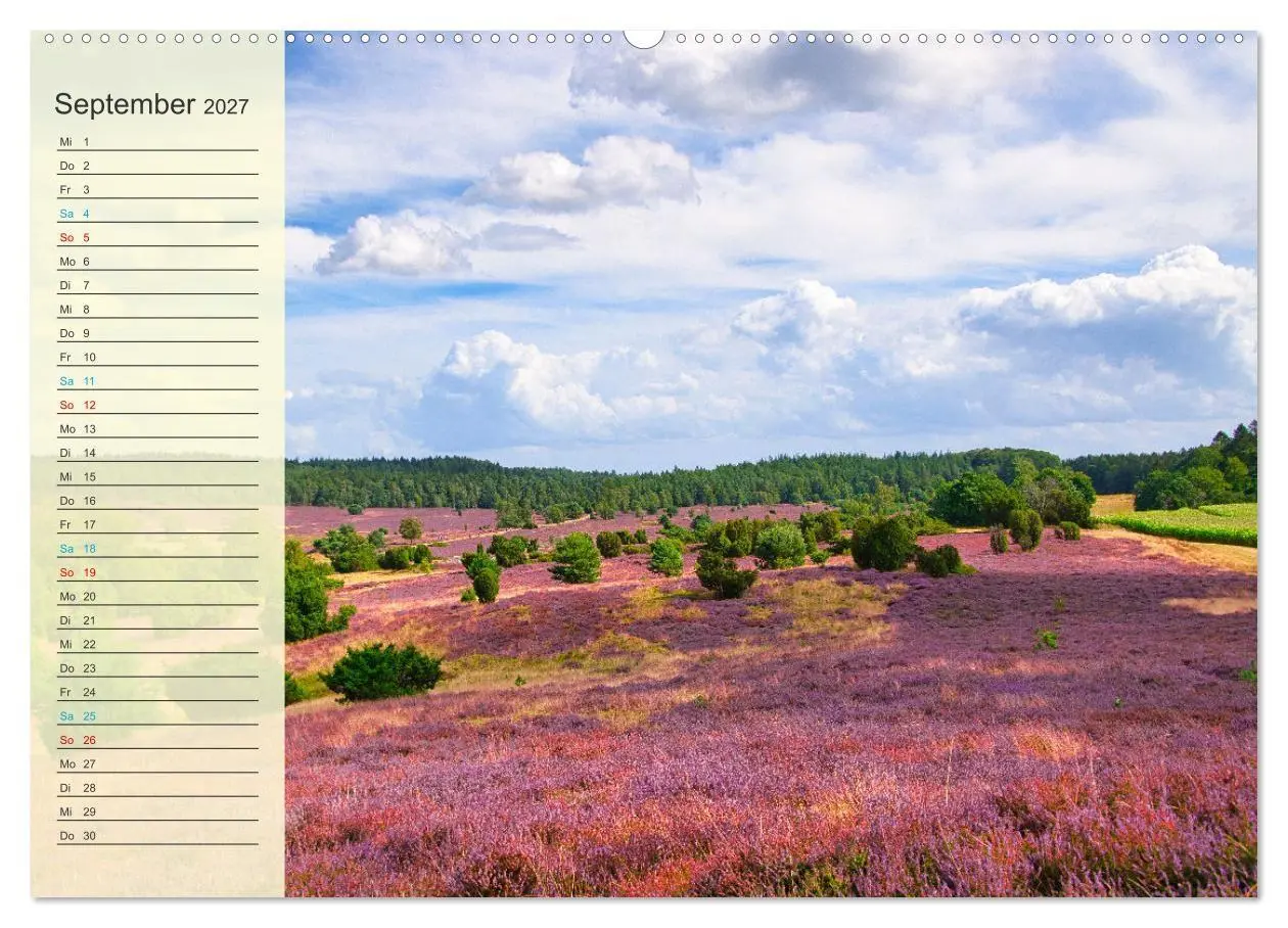 Bild: 9783569521490 | Die Heideblüte (Wandkalender 2027 DIN A2 quer), CALVENDO...