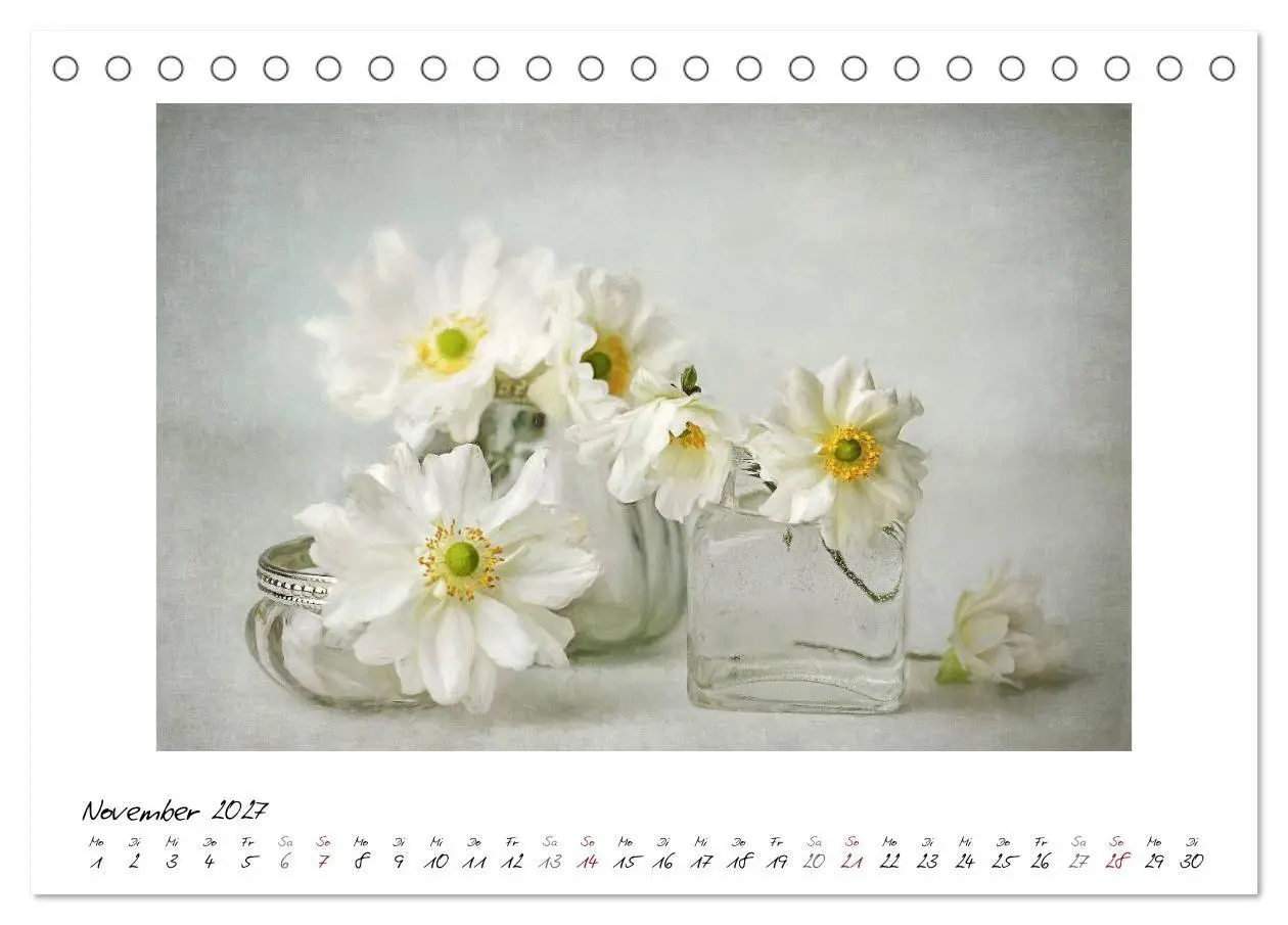 Bild: 9783569901490 | Kleine Blütenwunder (Tischkalender 2027 DIN A5 quer), CALVENDO...