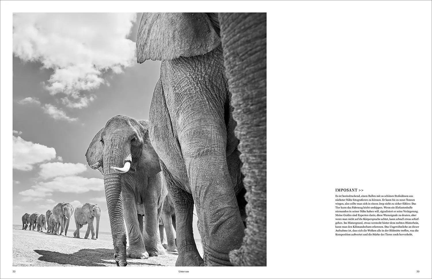 Bild: 9783969651490 | KUNTH Bildband Wild und frei | Steve Mccurry (u. a.) | Buch | 272 S.