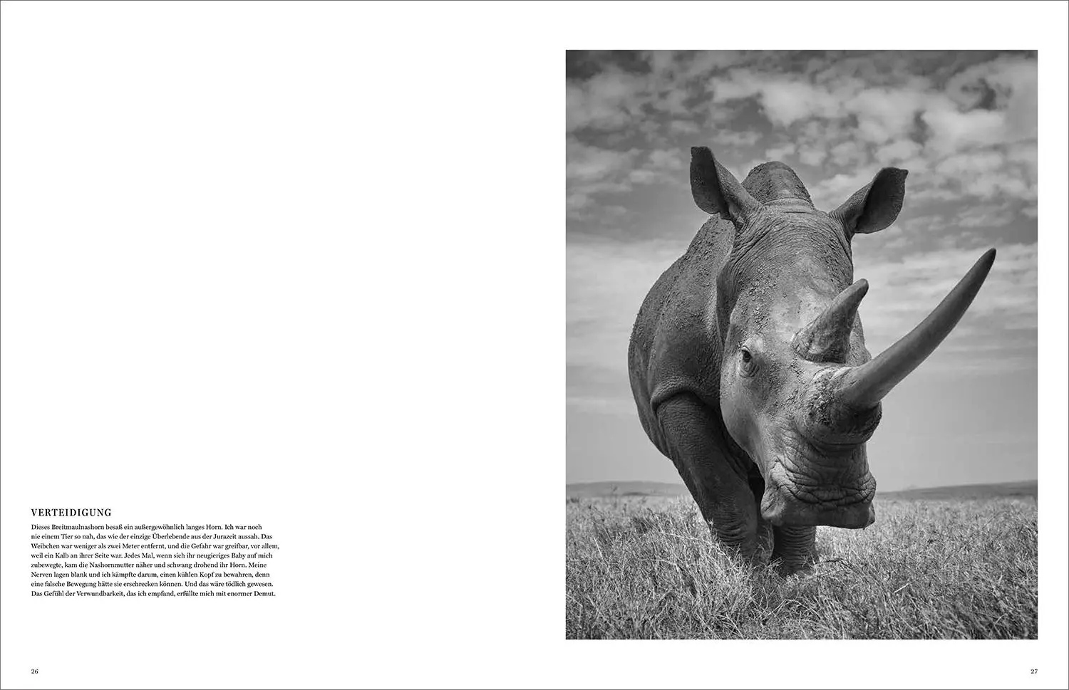Bild: 9783969651490 | KUNTH Bildband Wild und frei | Steve Mccurry (u. a.) | Buch | 272 S.