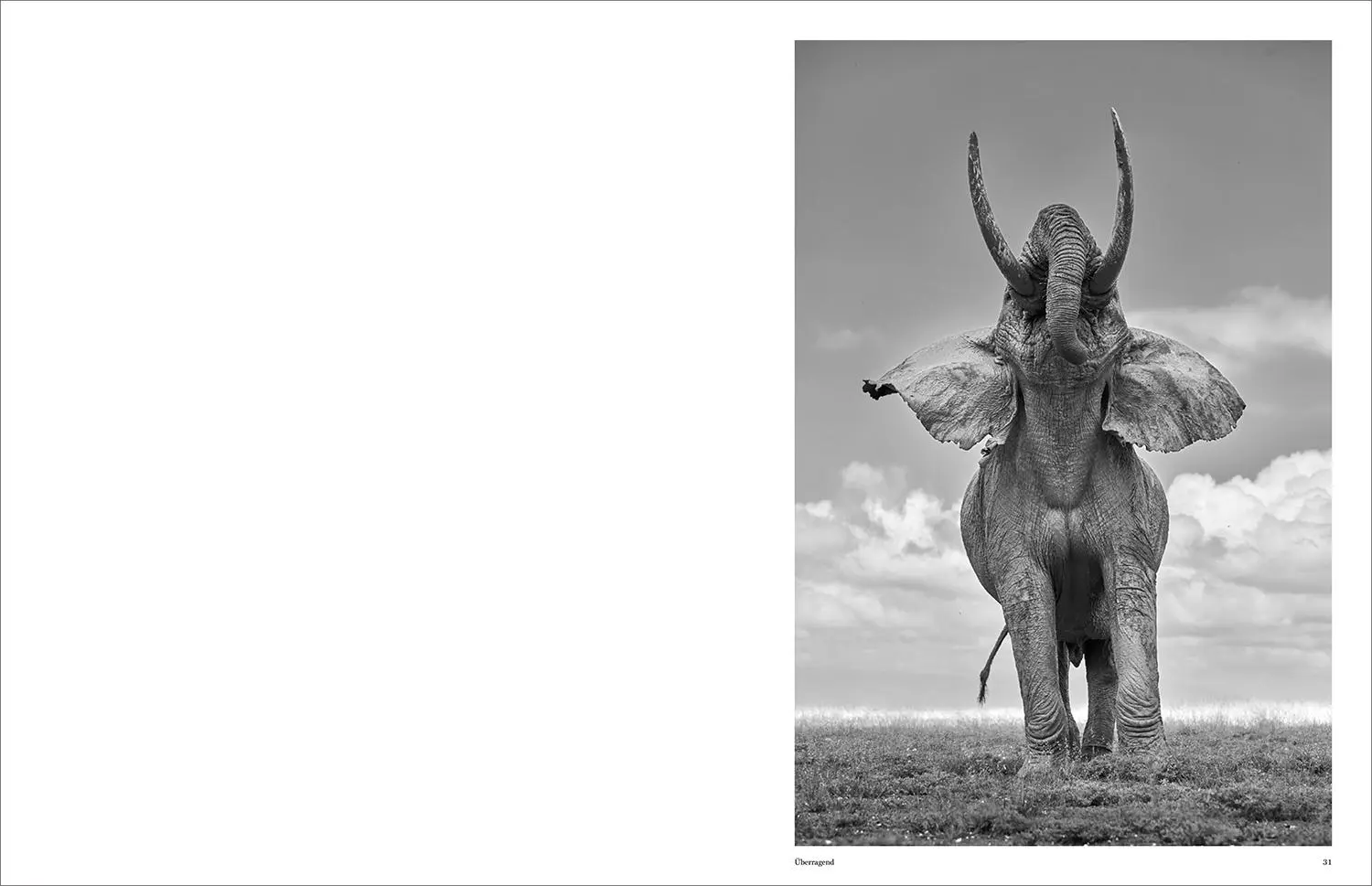 Bild: 9783969651490 | KUNTH Bildband Wild und frei | Steve Mccurry (u. a.) | Buch | 272 S.
