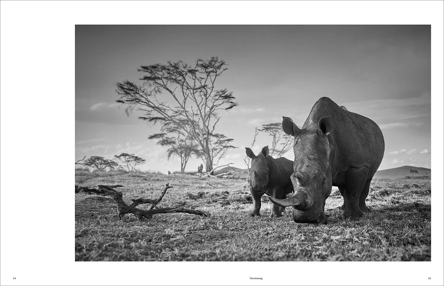 Bild: 9783969651490 | KUNTH Bildband Wild und frei | Steve Mccurry (u. a.) | Buch | 272 S.