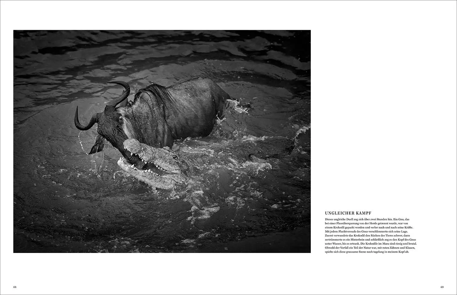Bild: 9783969651490 | KUNTH Bildband Wild und frei | Steve Mccurry (u. a.) | Buch | 272 S.