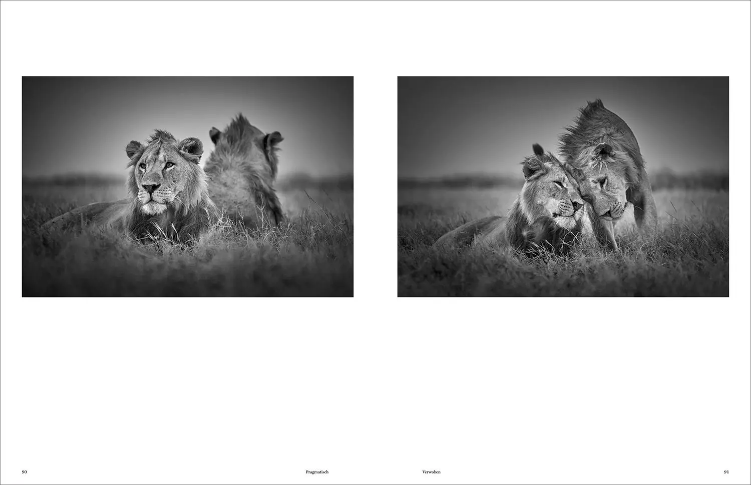 Bild: 9783969651490 | KUNTH Bildband Wild und frei | Steve Mccurry (u. a.) | Buch | 272 S.