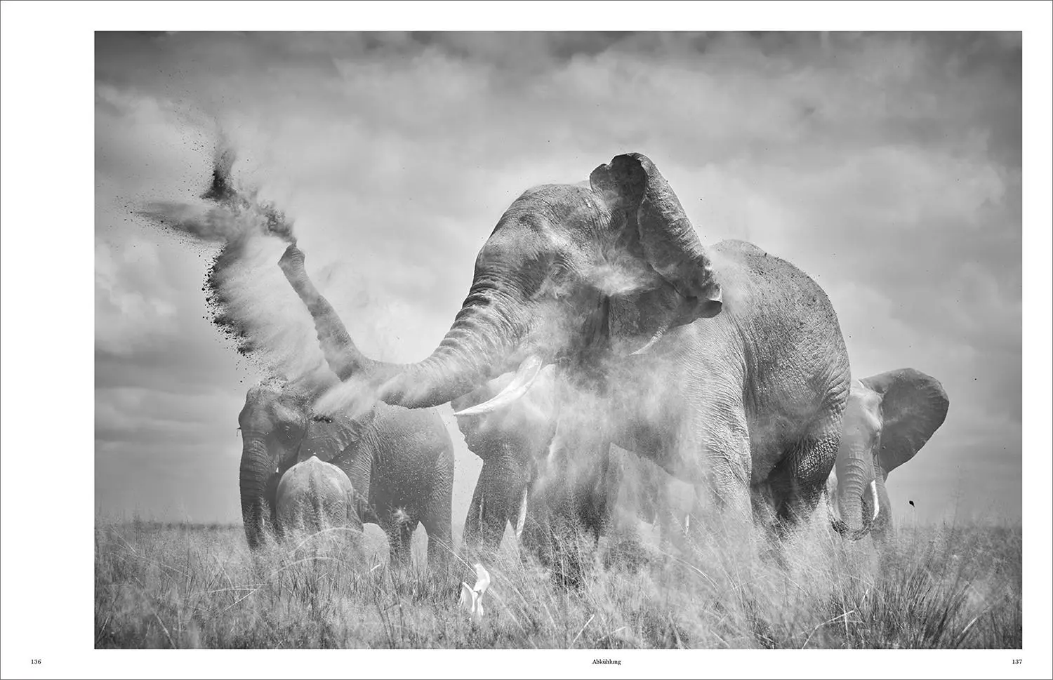 Bild: 9783969651490 | KUNTH Bildband Wild und frei | Steve Mccurry (u. a.) | Buch | 272 S.