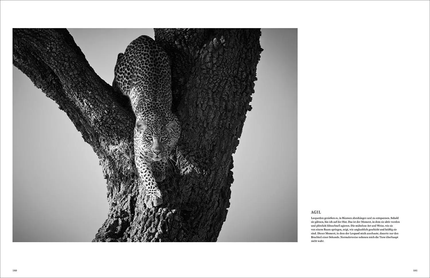 Bild: 9783969651490 | KUNTH Bildband Wild und frei | Steve Mccurry (u. a.) | Buch | 272 S.