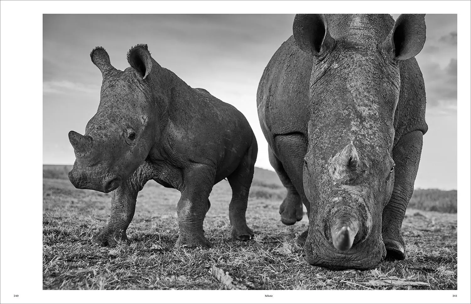 Bild: 9783969651490 | KUNTH Bildband Wild und frei | Steve Mccurry (u. a.) | Buch | 272 S.