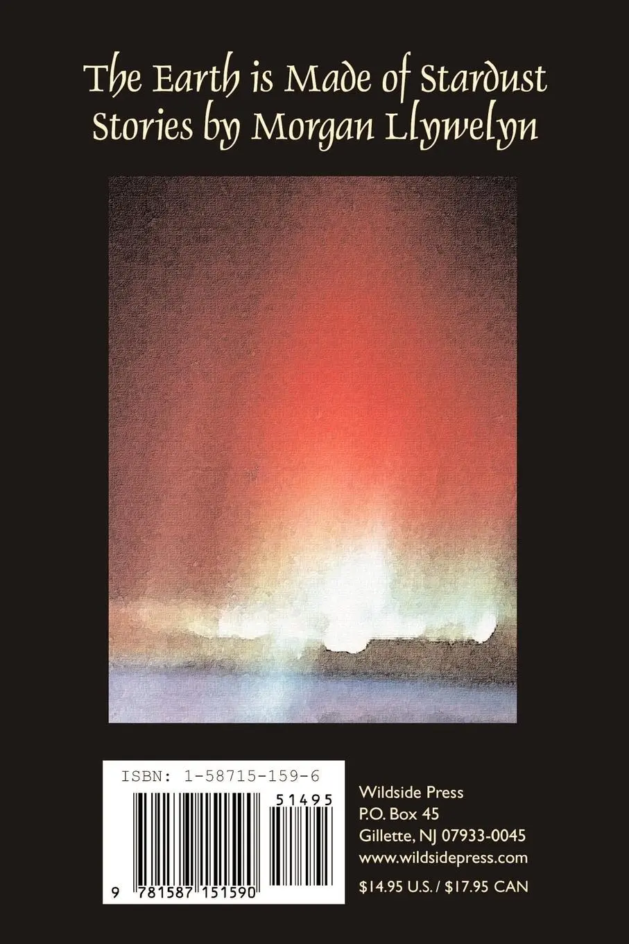 Rückseite: 9781587151590 | The Earth is Made of Stardust | Morgan Llywelyn | Taschenbuch | 2000