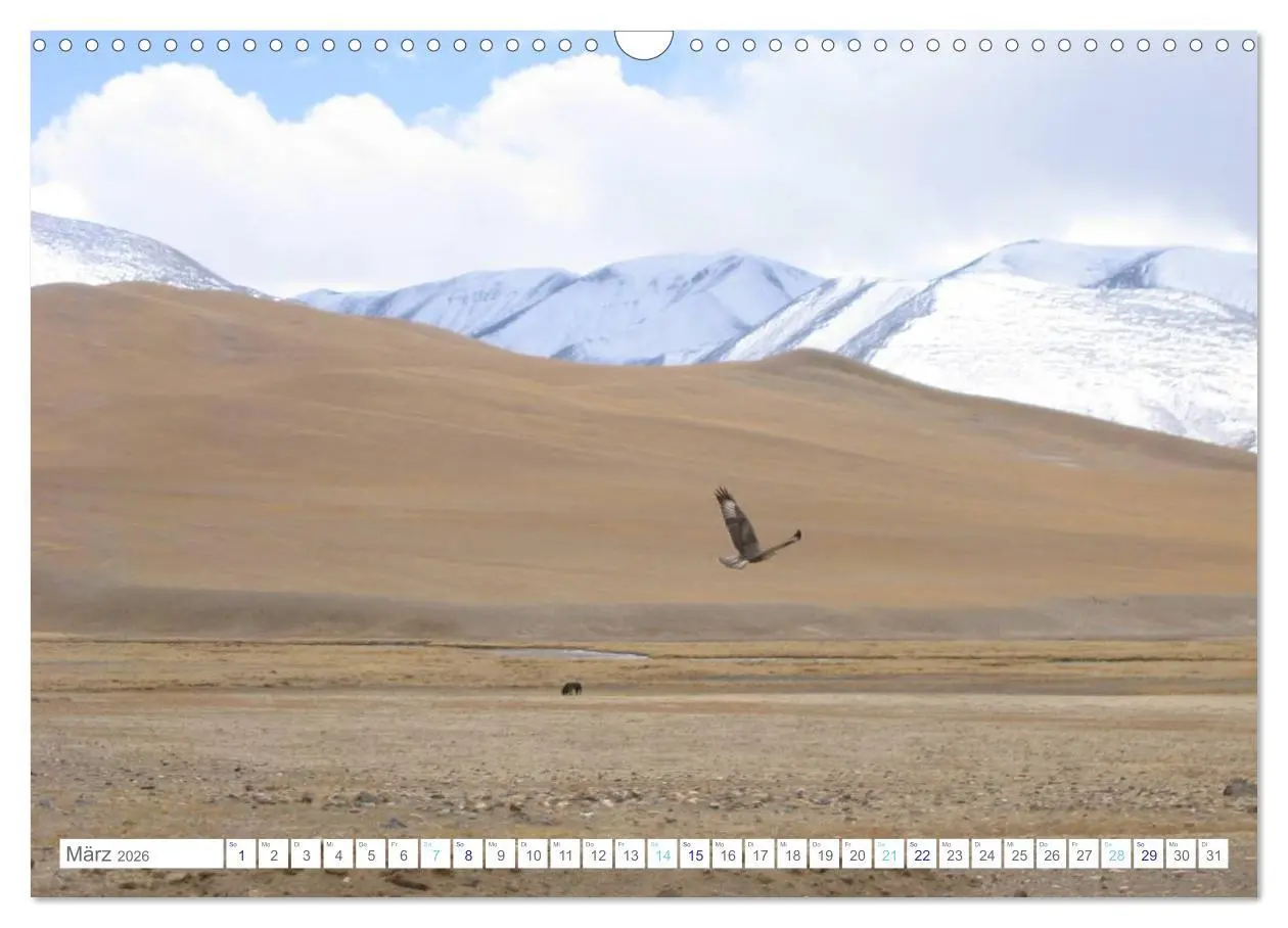 Bild: 9783516111590 | Tibet (Wandkalender 2026 DIN A3 quer), CALVENDO Monatskalender | Pickl