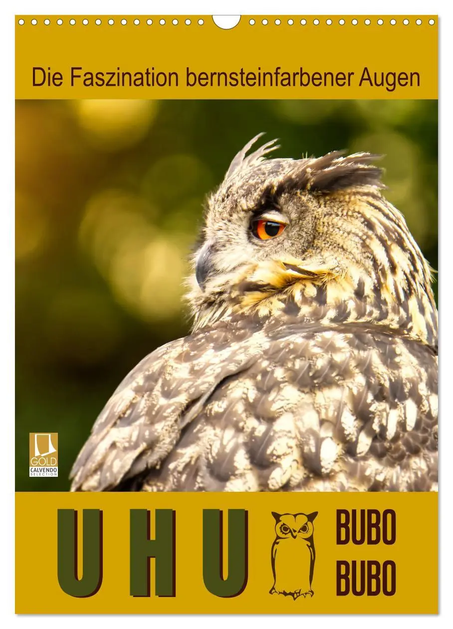 Cover: 9783516351590 | Uhu, die Faszination bernsteinfarbener Augen (Wandkalender 2026 DIN...